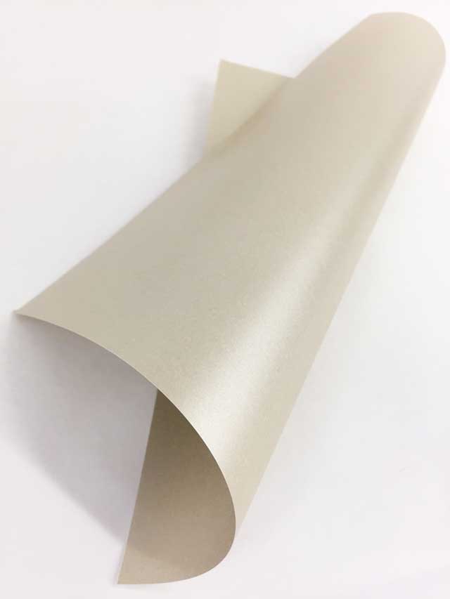 Neenah Coronado SST Stipple Digital 100# Paper – Donahue Paper Emporium